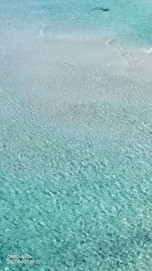 丽都玛里尼Acquario公寓 外观 照片